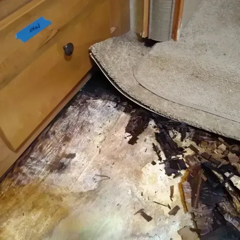 Wood Floor Water Damage in Cobb Island, MD